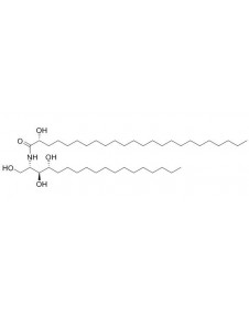2-(2'-Hydroxytetracosanoylamino)-octadecane-1,3,4-triol
