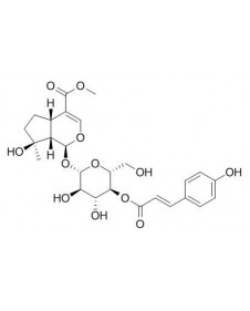 4'-O-trans-p-Coumaroylmussaenoside