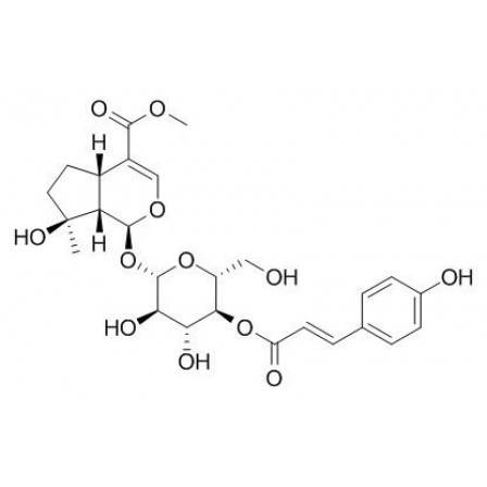 4'-O-trans-p-Coumaroylmussaenoside