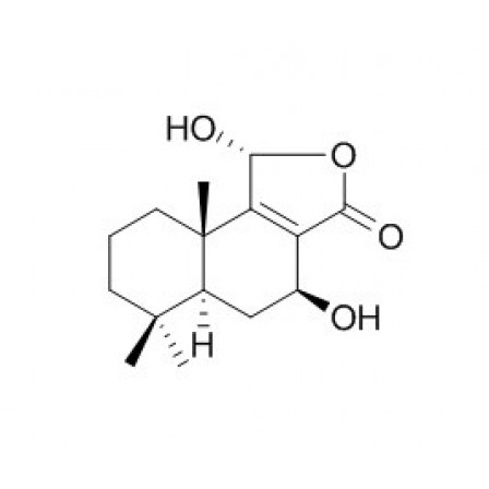 Fuegin