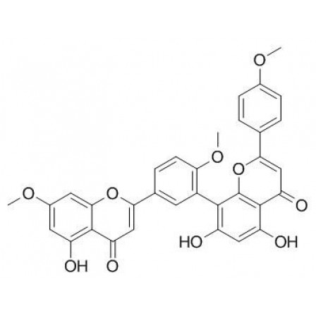Sciadopitysin