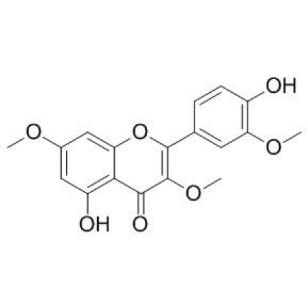 Pachypodol