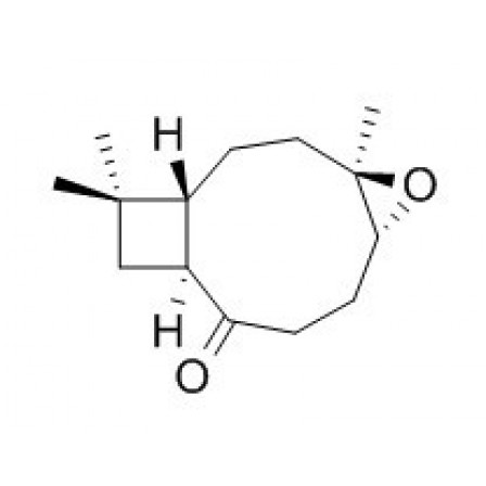 Kobusone