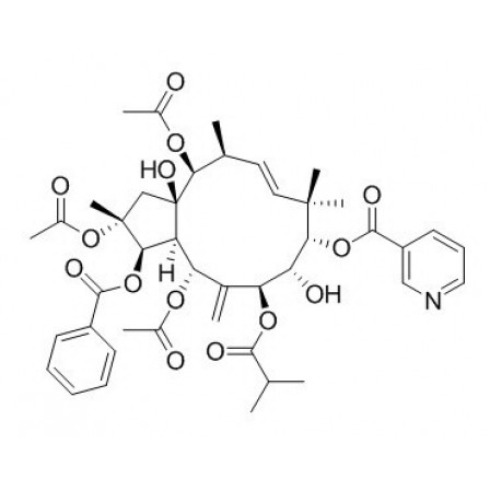 Jatrophane 3