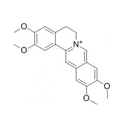 Pseudopalmatine