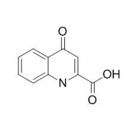 Kynurenic Acid