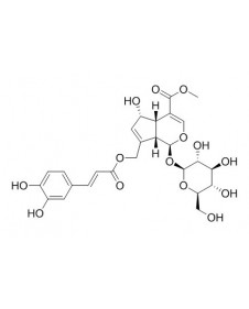 10-O-Caffeoyl-6-epiferetoside