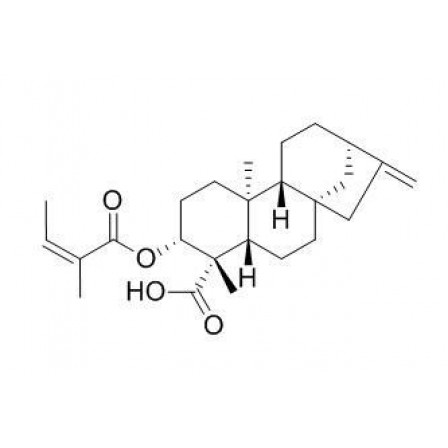 Ent-3Beta-Angeloyloxykaur-16-en-19-oic Acid