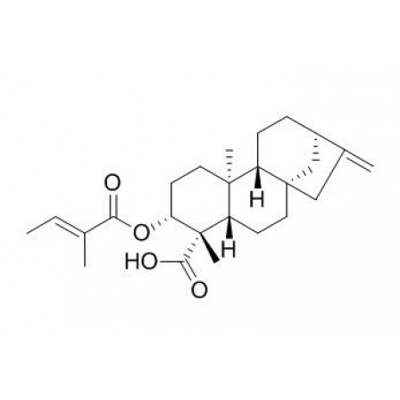 Ent-3Beta-Tigloyloxykaur-16-en-19-oic Acid
