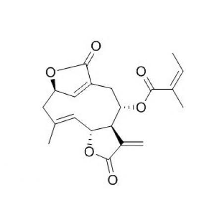 Isoscabertopin