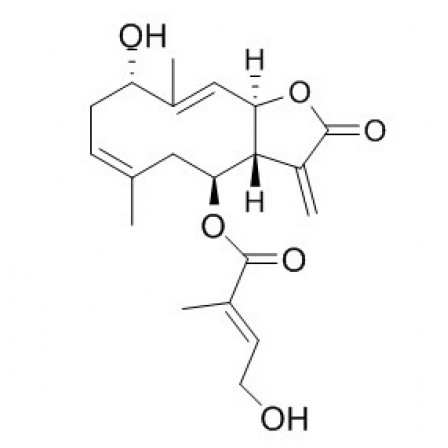 Eupalinolide K