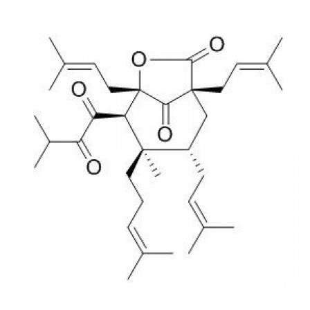 Perforatumone
