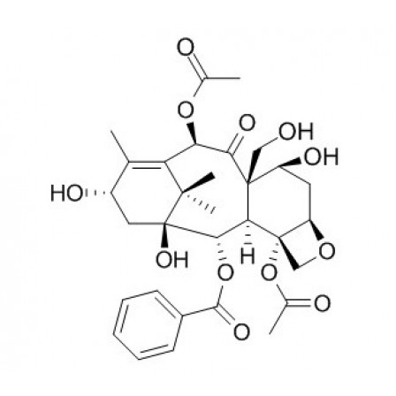 19-Hydroxybaccatin III