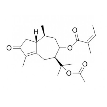 Torilin