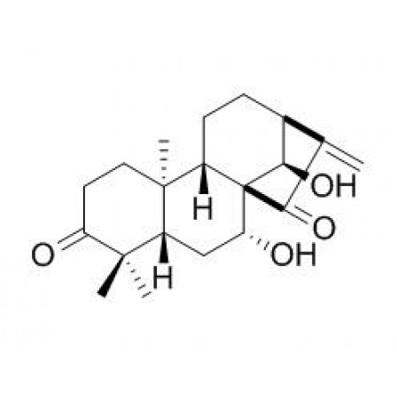 Glaucocalyxin A