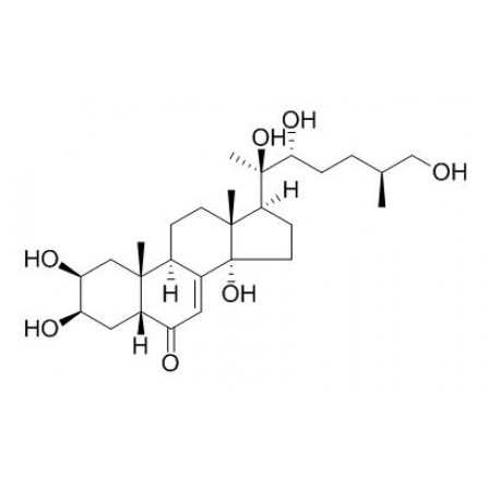 25R-Inokosterone