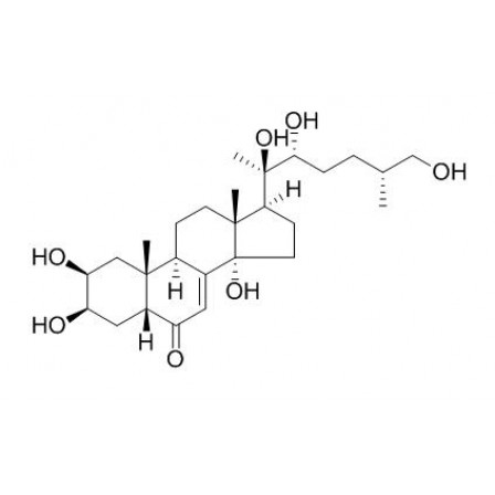 25S-Inokosterone