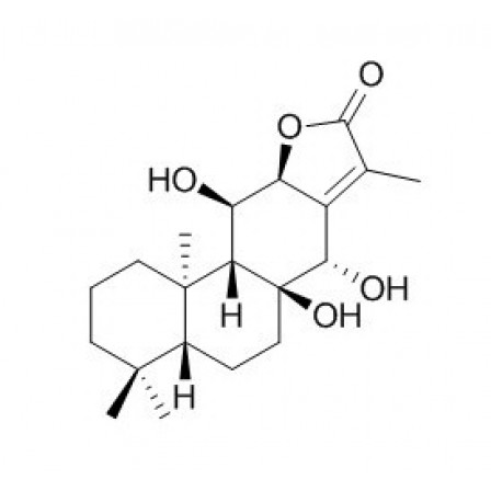 Yuexiandajisu D