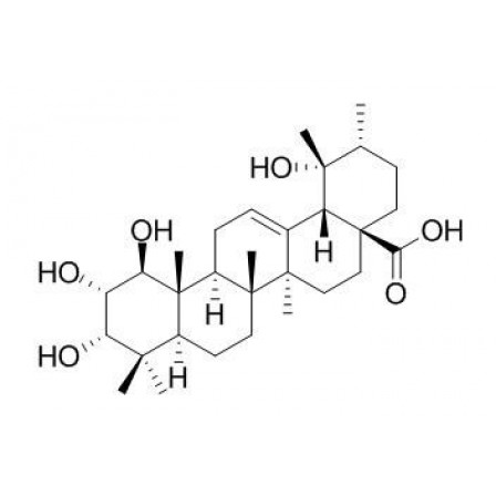 1beta-Hydroxyeuscaphic Acid