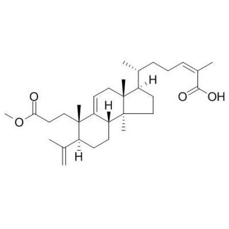 Kadsuric Acid 3-methylester