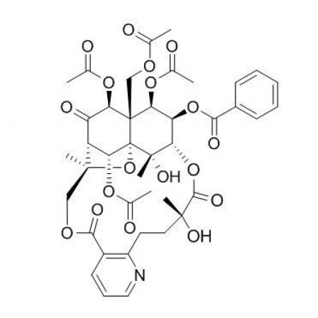 Alatamine