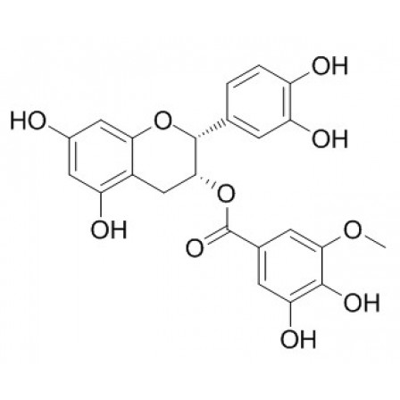 (-)-Epicatechin-3-(3''-O-methyl) Gallate