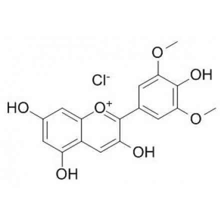 Malvidin Chloride
