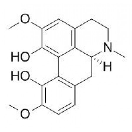 Corytuberine