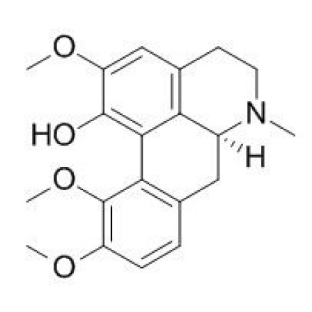 Corydine
