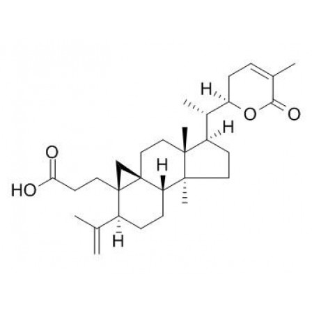 Schisanlactone E