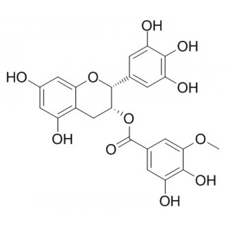 (-)-Epigallocatechin-3-(3''-O-methyl) Gallate