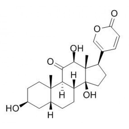 Bufarenogin