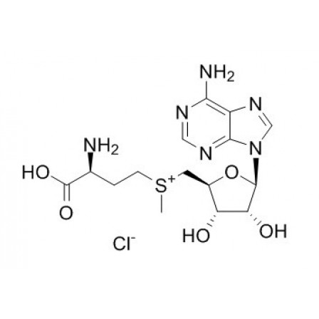 S-(5'-Adenosyl)-L-methionine Chloride