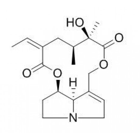 Integerrimine