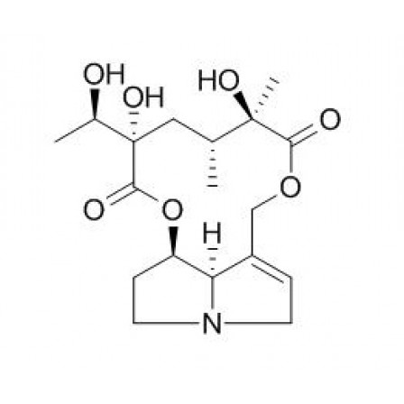 Jacoline