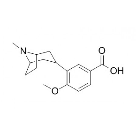 Datumetine