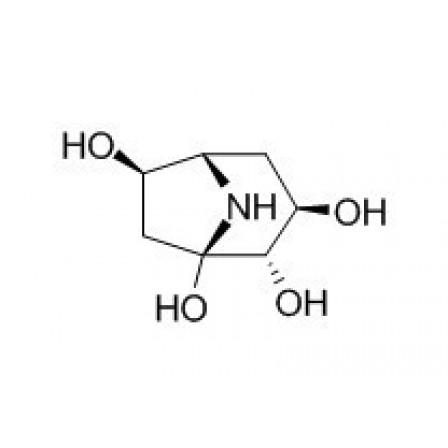 Calystegine B1