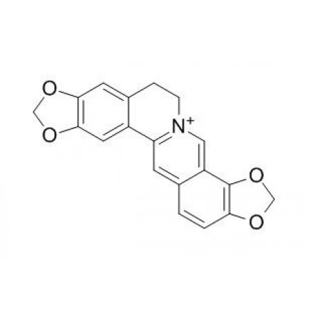 Coptisine