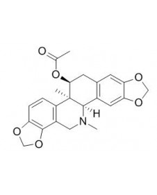 Acetylcorynoline