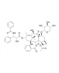 10-Deacetyl-7-xylosyl Paclitaxel