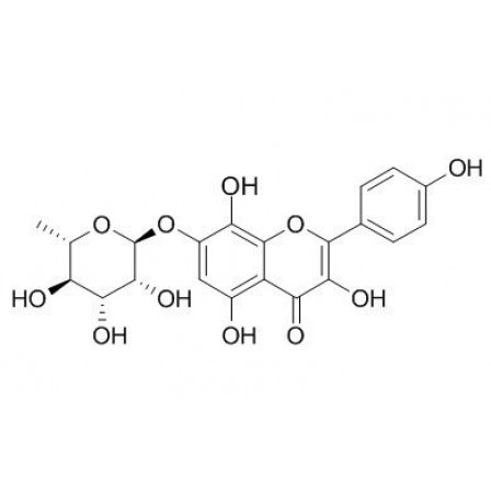 Rhodionin