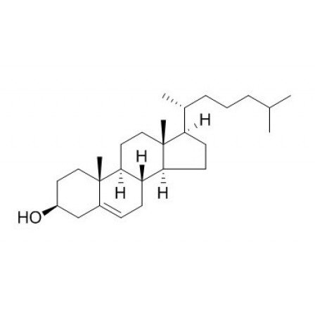 Cholesterol