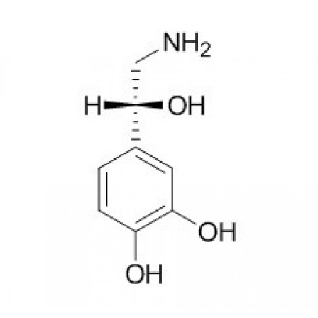 Norepinephrine