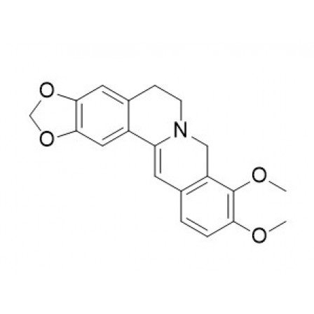 Dihydroberberine