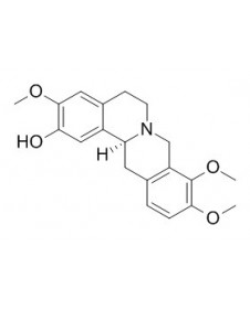 (-)-Isocorypalmine