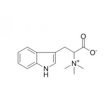 Hypaphorine