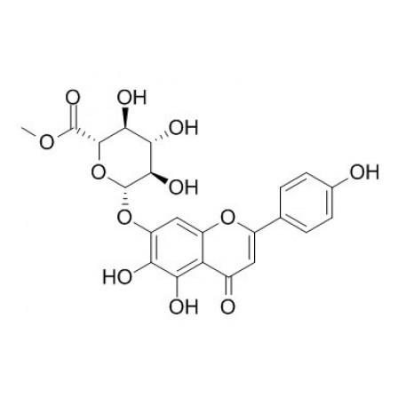 Scutellarin Methylester