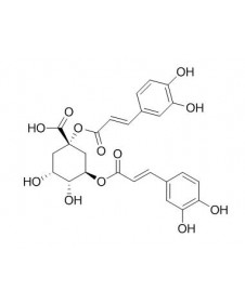 1,3-Dicaffeoylquinic Acid