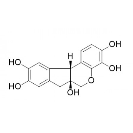 Hematoxylin