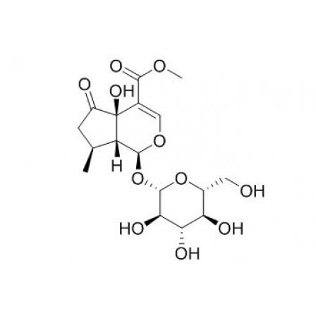 Hastatoside